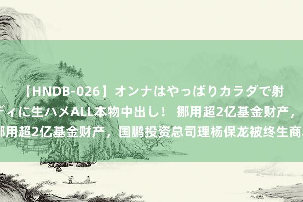 【HNDB-026】オンナはやっぱりカラダで射精する 厳選美巨乳ボディに生ハメALL本物中出し！ 挪用超2亿基金财产，国鹏投资总司理杨保龙被终生商场禁入
