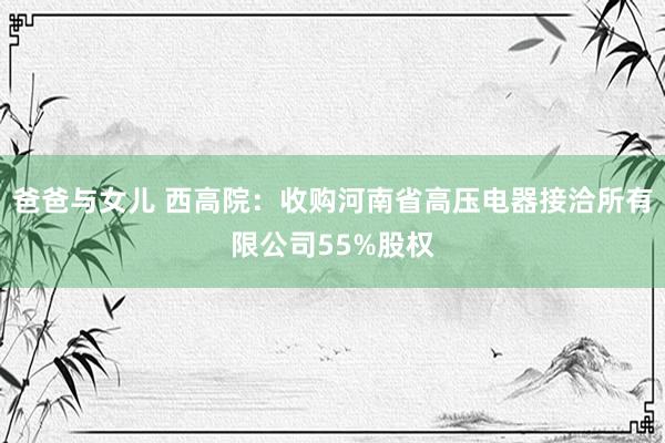 爸爸与女儿 西高院：收购河南省高压电器接洽所有限公司55%股权