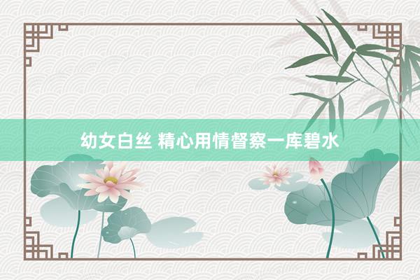 幼女白丝 精心用情督察一库碧水