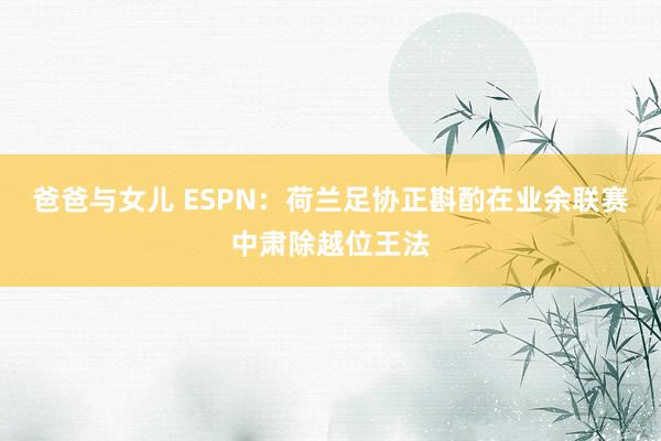 爸爸与女儿 ESPN：荷兰足协正斟酌在业余联赛中肃除越位王法