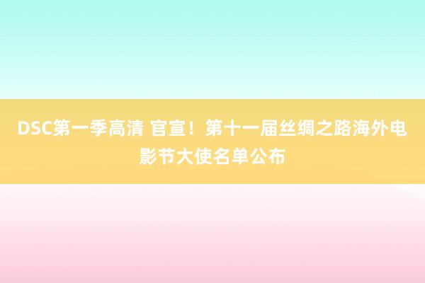 DSC第一季高清 官宣！第十一届丝绸之路海外电影节大使名单公布