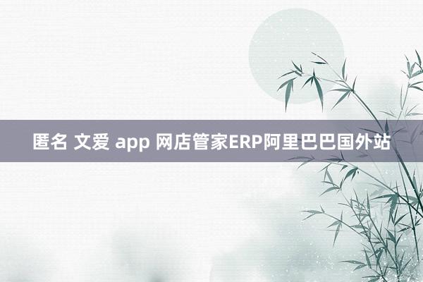 匿名 文爱 app 网店管家ERP阿里巴巴国外站
