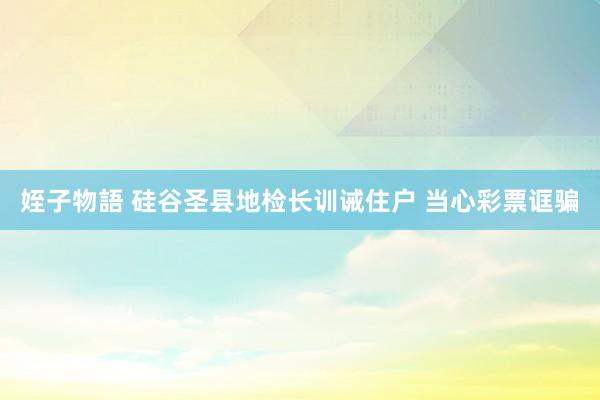 姪子物語 硅谷圣县地检长训诫住户 当心彩票诓骗
