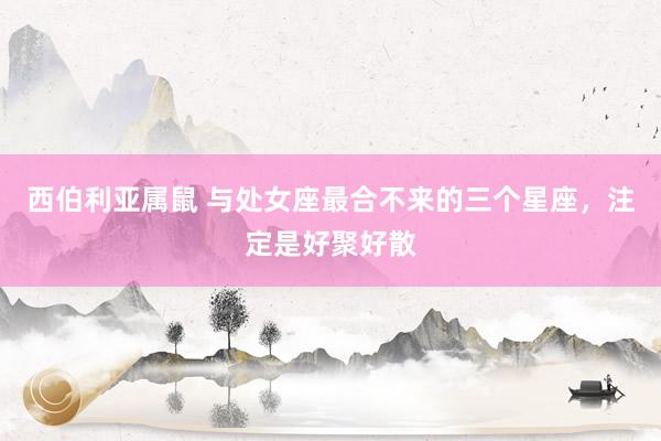 西伯利亚属鼠 与处女座最合不来的三个星座，注定是好聚好散