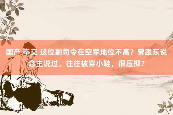 国产 拳交 这位副司令在空军地位不高？曾跟东说念主说过，往往被穿小鞋，很压抑？