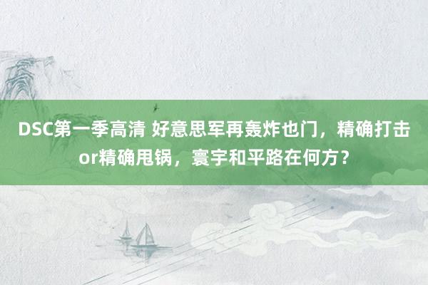 DSC第一季高清 好意思军再轰炸也门，精确打击or精确甩锅，寰宇和平路在何方？