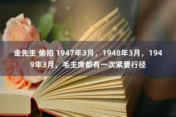 金先生 偷拍 1947年3月，1948年3月，1949年3月，毛主席都有一次紧要行径