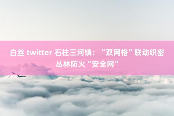 白丝 twitter 石柱三河镇：“双网格”联动织密丛林防火“安全网”