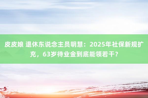 皮皮娘 退休东说念主员明慧：2025年社保新规扩充，63岁待业金到底能领若干？