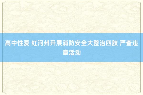 高中性爱 红河州开展消防安全大整治四肢 严查违章活动