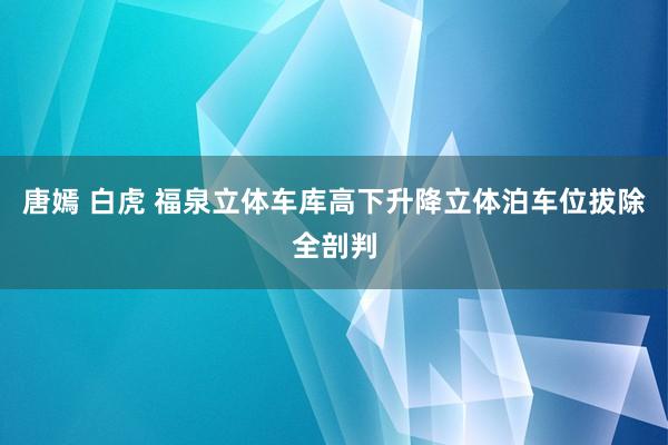 唐嫣 白虎 福泉立体车库高下升降立体泊车位拔除全剖判