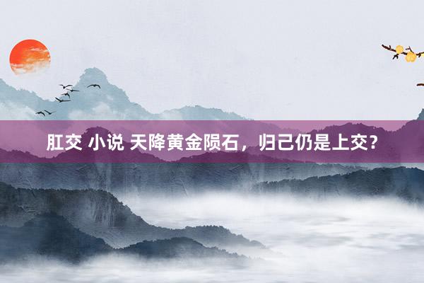 肛交 小说 天降黄金陨石，归己仍是上交？