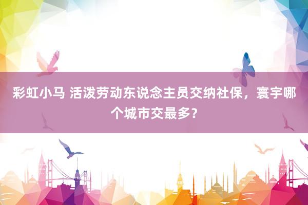 彩虹小马 活泼劳动东说念主员交纳社保，寰宇哪个城市交最多？