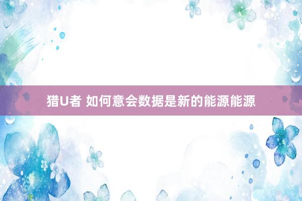 猎U者 如何意会数据是新的能源能源