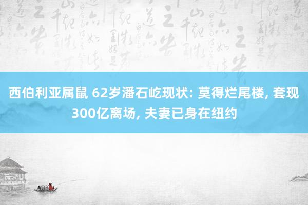 西伯利亚属鼠 62岁潘石屹现状: 莫得烂尾楼, 套现300亿离场, 夫妻已身在纽约