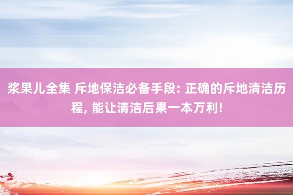 浆果儿全集 斥地保洁必备手段: 正确的斥地清洁历程, 能让清洁后果一本万利!