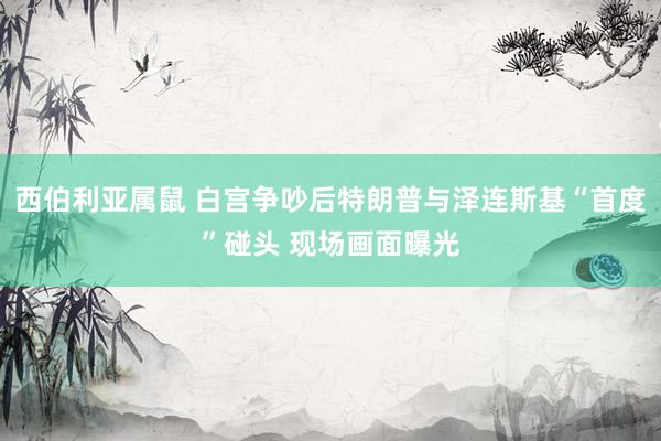 西伯利亚属鼠 白宫争吵后特朗普与泽连斯基“首度”碰头 现场画面曝光