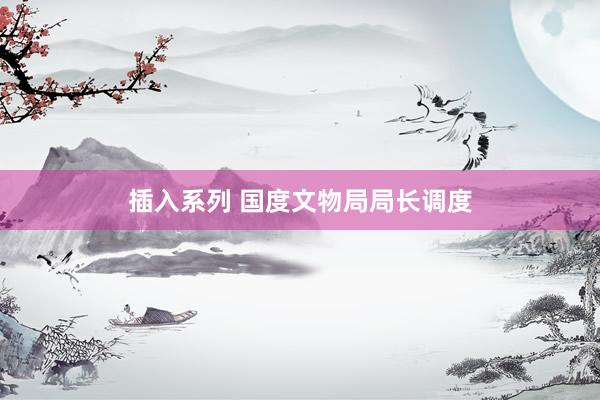 插入系列 国度文物局局长调度
