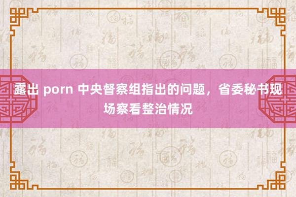 露出 porn 中央督察组指出的问题，省委秘书现场察看整治情况