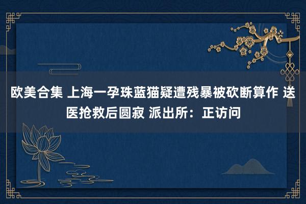 欧美合集 上海一孕珠蓝猫疑遭残暴被砍断算作 送医抢救后圆寂 派出所：正访问