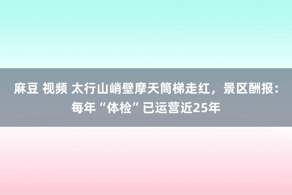 麻豆 视频 太行山峭壁摩天筒梯走红，景区酬报：每年“体检”已运营近25年