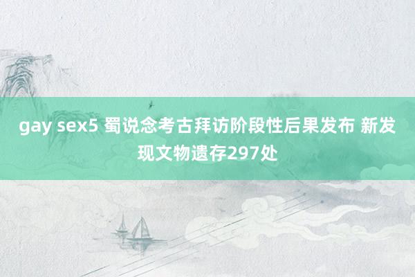 gay sex5 蜀说念考古拜访阶段性后果发布 新发现文物遗存297处