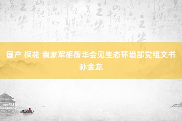 国产 探花 袁家军胡衡华会见生态环境部党组文书孙金龙