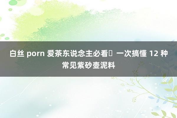 白丝 porn 爱茶东说念主必看❗一次搞懂 12 种常见紫砂壶泥料